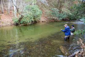 Things To Do Noontootla Creek Farms - NCF